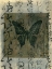 Picture of BUTTERFLY CALLIGRAPHY III
