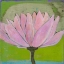 Picture of BLISS LOTUS II