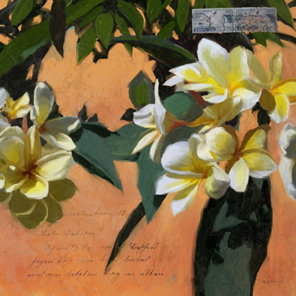 Picture of PLUMERIA AND POSTAGE I