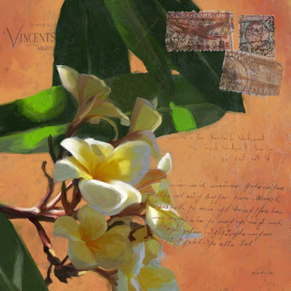 Picture of PLUMERIA AND POSTAGE II