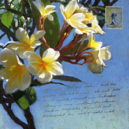 Picture of PLUMERIA AND POSTAGE III