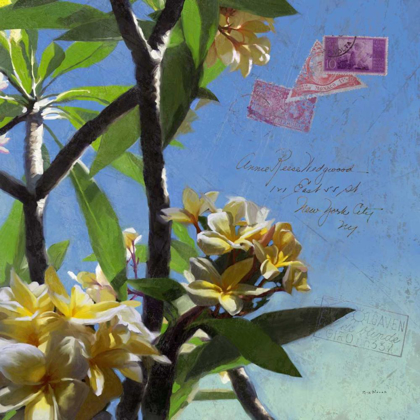Picture of PLUMERIA AND POSTAGE IV