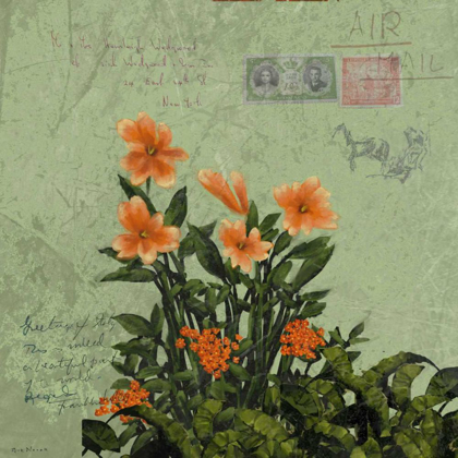 Picture of ORANGE BLOOMS AND POSTAGE I