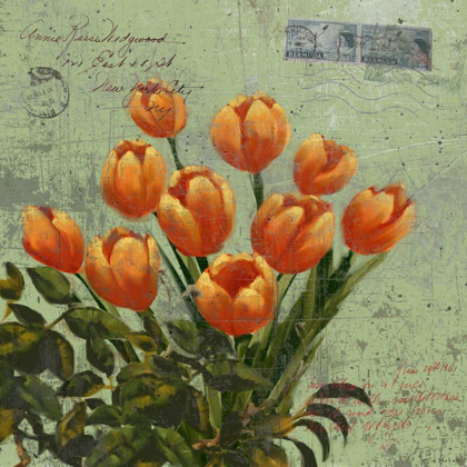 Picture of ORANGE BLOOMS AND POSTAGE II