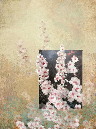 Picture of CHERRY BLOSSOM ABSTRACT III