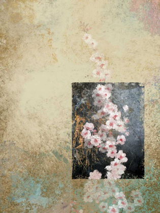 Picture of CHERRY BLOSSOM ABSTRACT IV