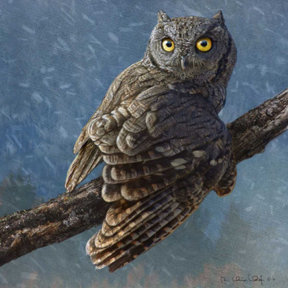 Picture of OWL IN WINTER I