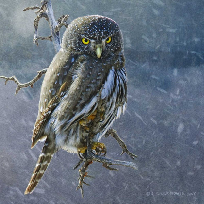 Picture of OWL IN WINTER II
