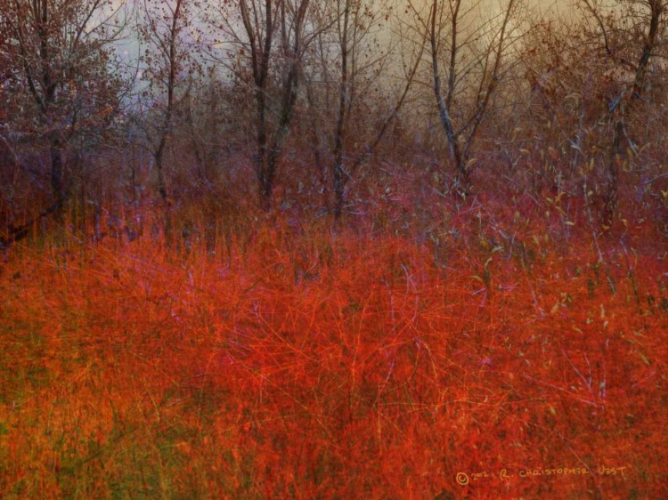 Picture of RED GRASS I