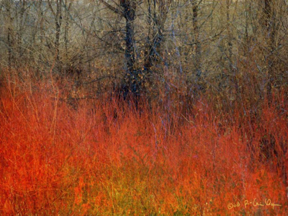 Picture of RED GRASS II