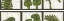 Picture of 2-UP VERDE BOTANICAL I