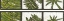 Picture of 2-UP VERDE BOTANICAL III