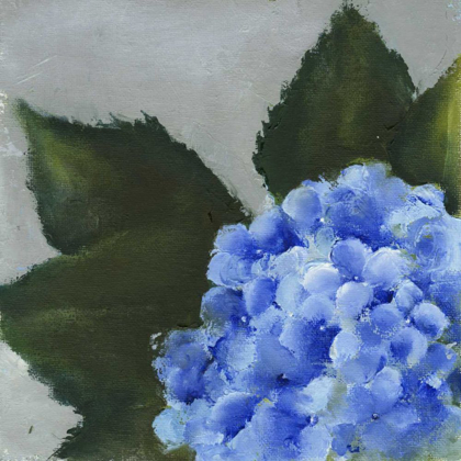 Picture of HYDRANGEA DETAIL I