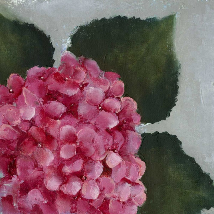 Picture of HYDRANGEA DETAIL II