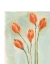 Picture of PAINTED TULIPS I