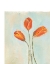 Picture of PAINTED TULIPS II