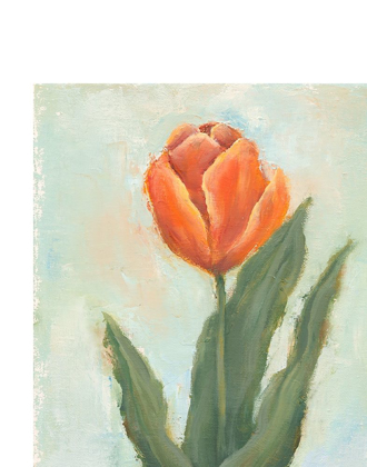 Picture of PAINTED TULIPS IV