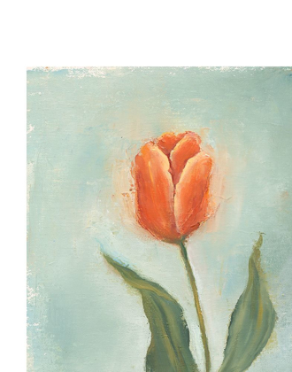 Picture of PAINTED TULIPS V