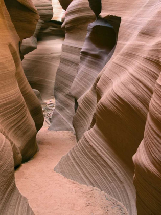 Picture of ANTELOPE CANYON V