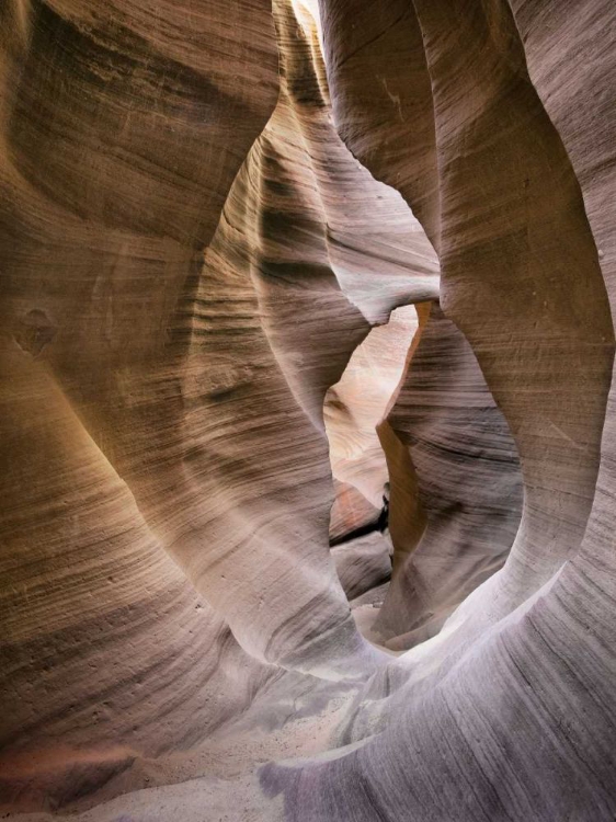 Picture of ANTELOPE CANYON VI