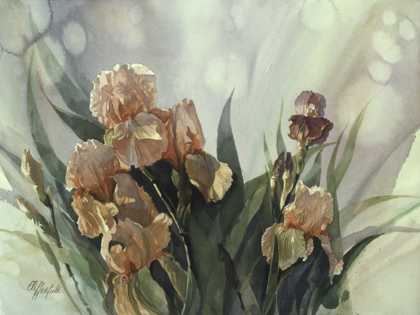 Picture of HADFIELD IRISES II