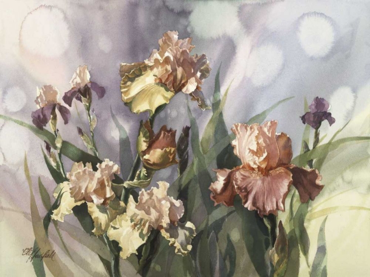 Picture of HADFIELD IRISES V