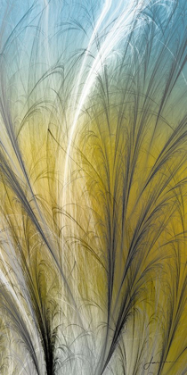 Picture of FOUNTAIN GRASS III