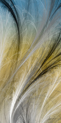 Picture of FOUNTAIN GRASS IV
