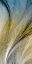 Picture of FOUNTAIN GRASS IV