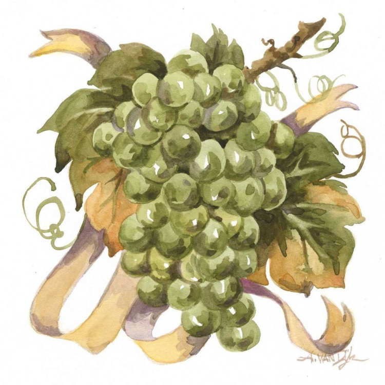 Picture of WATERCOLOR GRAPES II