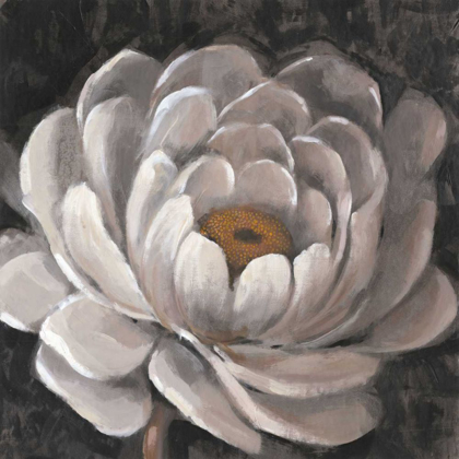 Picture of NEUTRAL FLEUR II