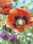 Picture of VIVID POPPIES II