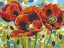 Picture of VIVID POPPIES III