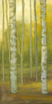 Picture of SUNNY BIRCH GROVE I