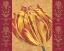 Picture of TULIP POWER I
