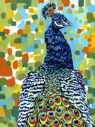 Picture of PLUMED PEACOCK II