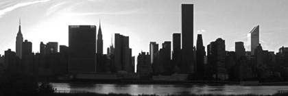 Picture of PANORAMA OF NYC VI