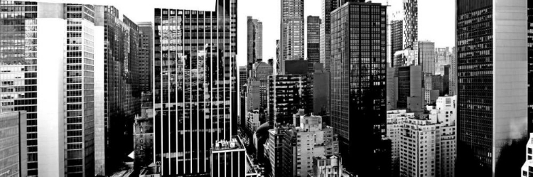 Picture of PANORAMA OF NYC VII