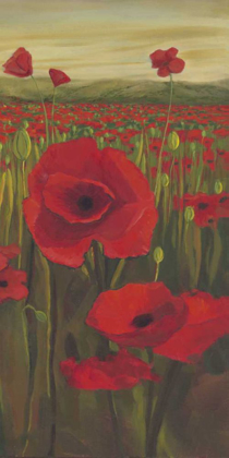 Picture of RED POPPIES IN FIELD II