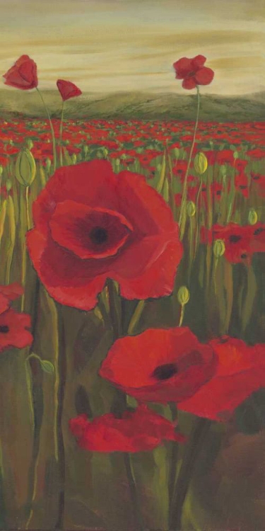 Picture of RED POPPIES IN FIELD II