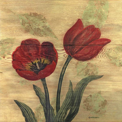 Picture of TULIP ON WOOD