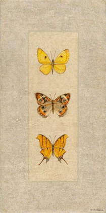 Picture of BUTTERFLY TRIO I