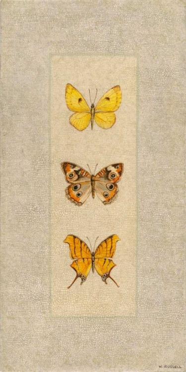 Picture of BUTTERFLY TRIO I