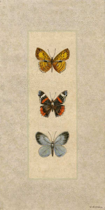 Picture of BUTTERFLY TRIO II