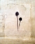 Picture of HERBARIUM IV