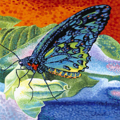 Picture of POISED BUTTERFLY II
