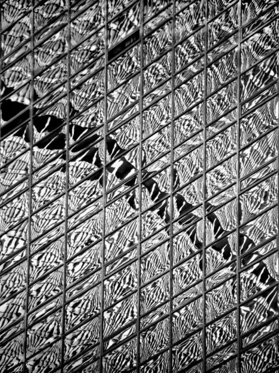 Picture of REFLECTIONS OF NYC V