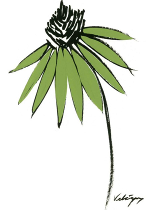Picture of GRAPHIC CONE FLOWER I