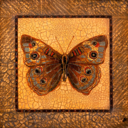 Picture of CRACKLED BUTTERFLY - BUCKEYE