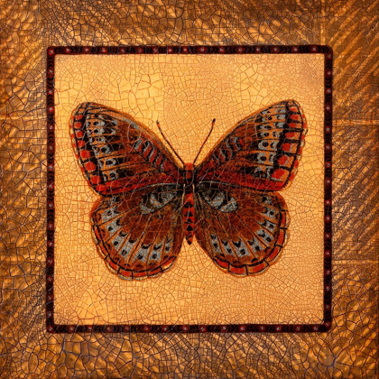 Picture of CRACKLED BUTTERFLY - FRITILLARY